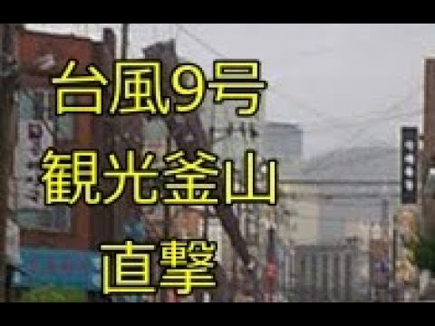 台風9号、韓国  釜山に直撃、 窓ガラスが割れて1人死亡