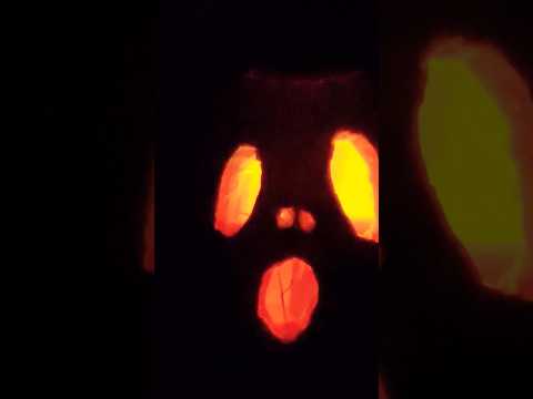 Scary pumpkin #ytshort #pumpkinpatch2024 #pumpkin #scary #scarystories #halloween2024 #canada