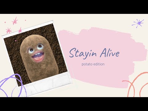 Stayin' alive - potato edition