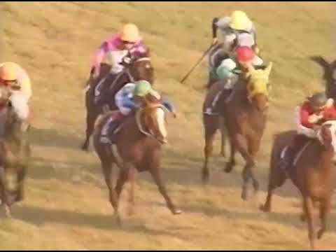 ヤマニンゼファー 1993年 第108回天皇賞(秋)(GI) (優勝馬：ヤマニンゼファー)(実況：ラジオたんぱ)