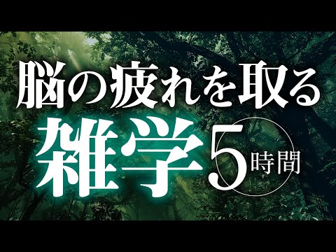 【睡眠導入】脳の疲れを取る雑学5時間【合成音声】