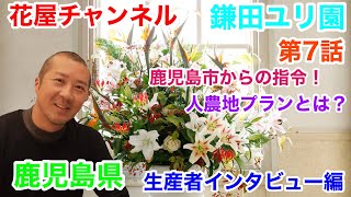 【花屋チャンネル】人農地プランとは⁉️生産者インタビュー‼️鹿児島県の百合農家‼️鎌田洋平さんの開業話#鎌田ユリ園#百合農家#オリエンタル#百合#鹿児島#鎌田洋平#生産者#ユリ