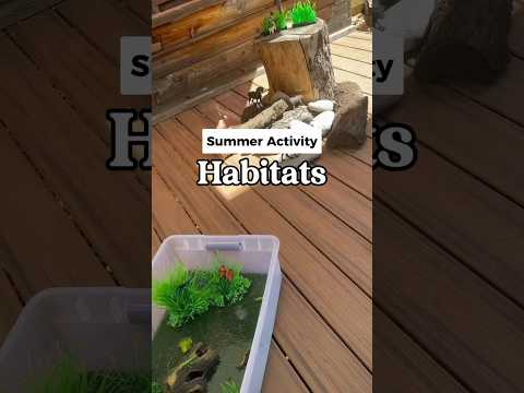 How To Set Up Habitat Sensory Bins 🌿 60 Days of Summer - Day 36 #sensoryplay #sensorybin