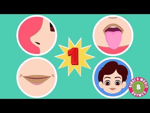 Number 1 Song | Numbers | Nursery Rhymes for Kids | Bindi's Music & Rhymes