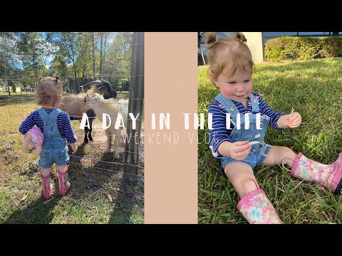 Weekend Vlog