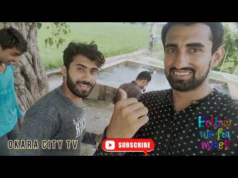 Amazing Swimming Pool VLOGS : Hot Weather : Okara City Tv #shorts #swimmingpool