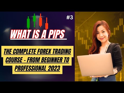 What is a Pip | How To Calculate Pips In Forex | Explain What is Forex Market Beginners To Advanced