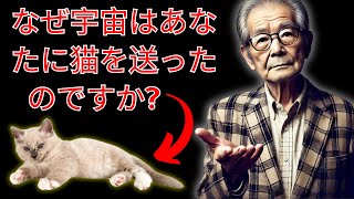 猫のスピリチュアリティを発見する - なぜ猫はあなたの人生に現れるのか？