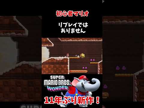 リプレイではありません【スーパーマリオブラザーズワンダー / SuperMarioBros.Wonder】