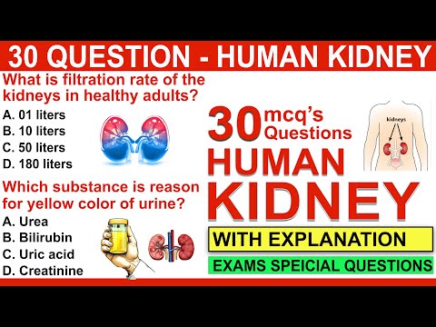 mcqs on human kidney | human kidney mcqs questions and answers | human excretory system