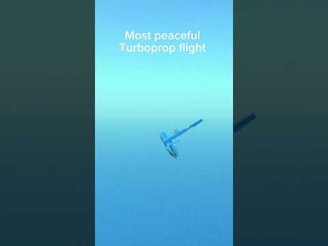 most peaceful Turboprop flight #turbopropflightsimulator  #meme  #shorts