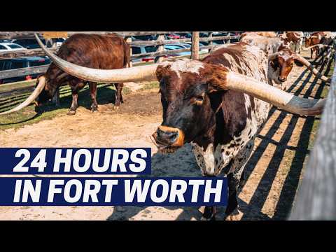 Fort Worth, Texas Travel Guide: BBQ, Waterfalls, Stockyards & a Rodeo in 24 Hours