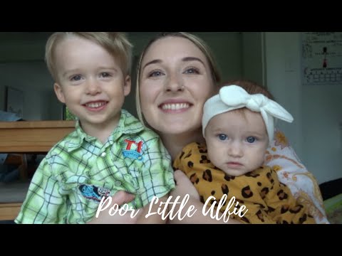 POOR LITTLE ALFIE | Alfie's Adventures