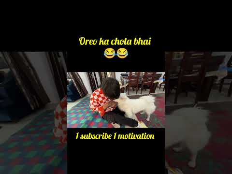 Oreo ka chota bhai 😊#viral #souravjoshivlogs