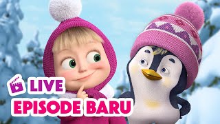 🔴 LIVE! Masha dan Beruang 👧🐻 Episode Baru 🐧❄️ Kartun anak-anak 🎬 Masha and the Bear