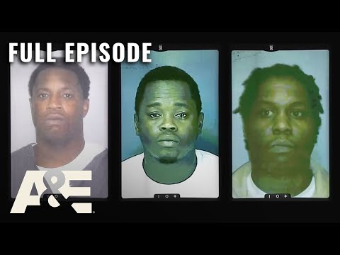 A Lesson in Homicide - Adored Teacher Found Dead (S2, E11) | Cold Case Files | Full Episode