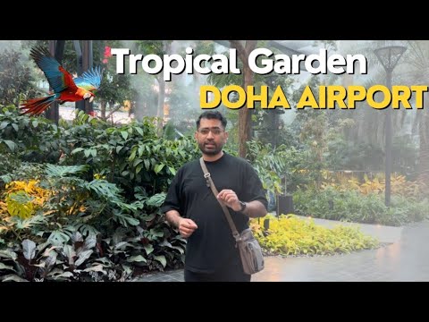 Jungle me Airport | The Orchard Doha Airport’s indoor Tropical Garden