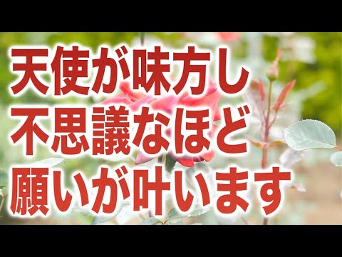 「天使が味方し、不思議なほど願いが叶います」という有難い啓示と共に降ろされた癒しのヒーリング周波数です(a0239)