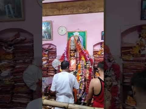 महागौरी शुभंदद्यान्महादेवप्रमोददा।।*माता सिद्धिदात्री देवी जी की जय।*