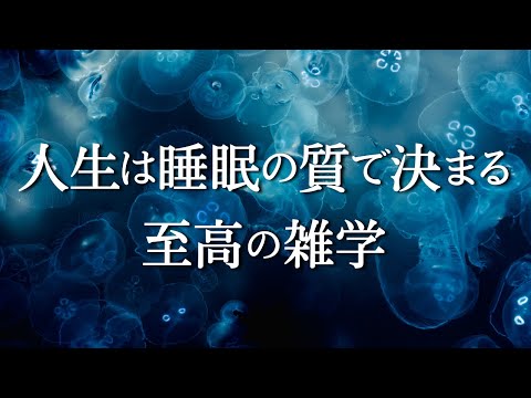 睡眠の質の向上に役に立つ【至高の雑学】　心地よく眠れます