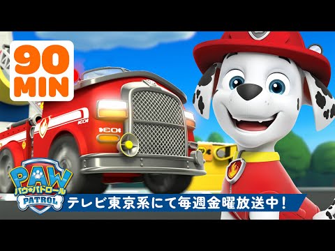 パウ・パトロール | マーシャルがファイヤートラックに乗って最高のレスキュー！ラブルとチェイスもいっしょ🚒 90分 | テレビ東京系にて放送中