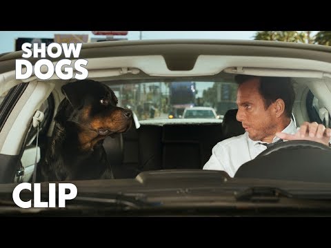 Show Dogs | "My Music" Clip | Global Road Entertainment