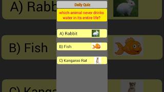 Which animal never drinks water? 🤔#gk #knowledge #gkfacts #education #shorts #gkshorts #thegkcorner