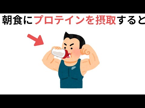 朝食にプロテインを摂取すると（日々の暮らしをサポートする雑学）