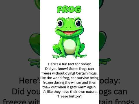 frog animal| GG #kidsfunfacts