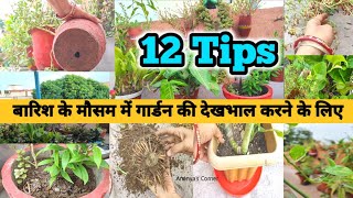 🌱 Monsoon Gardening tips | 12 tips for plant care in monsoon  | मानसून में पौधों की देखभाल