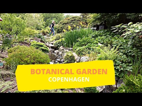 BOTANICAL GARDEN WALKING TOUR | COPENHAGEN