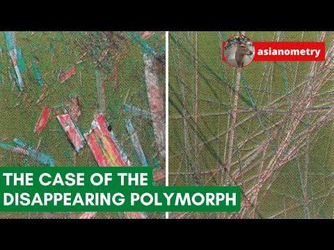 The Curious Case of the Disappearing Polymorph