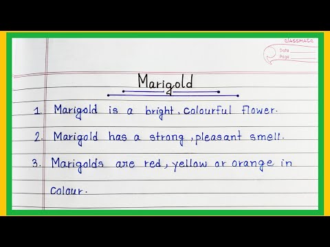 10 Lines Essay On Marigold In English | Marigold Essay | Easy Sentences About Marigold