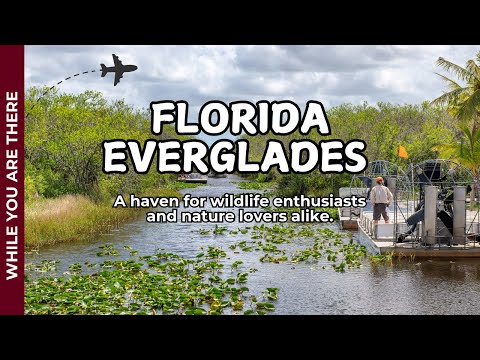 Discover the Unique Wilderness of Florida's Everglades National Park