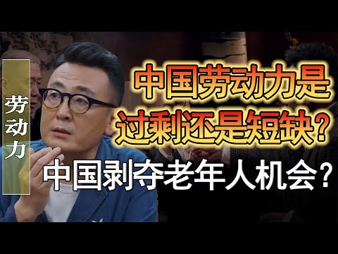 中國的勞動力是過剩還是短缺？中國在剝奪老人的就業機會？#竇文濤 #圓桌派 #人生感悟