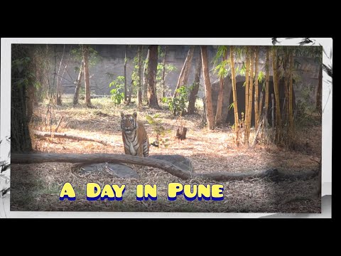 एक दिन में पुणे में देखा इतना कुछ || How to spent a day in Pune? Places to visit in Pune.