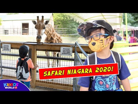 Safari Niagara Zoo Full Tour 2020