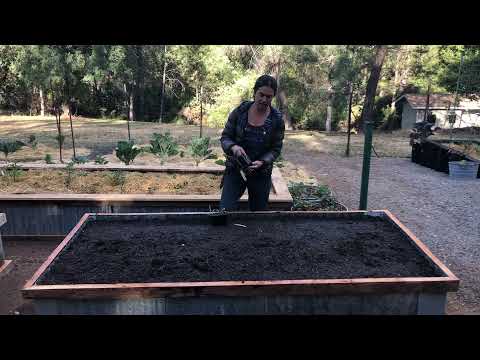 Before You Fill Your New Raised Beds With Potting Soil Watch This