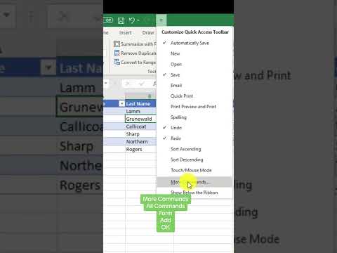 Data Entry Form in Excel 📝