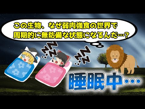 睡眠中は危険なのに、なぜ進化の過程で睡眠は淘汰されなかったのか？【ゆっくり解説】