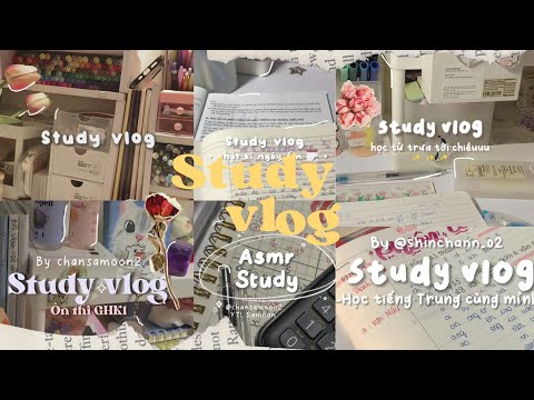 #19 #xh #tiktok #studyvlog #studywithme  ◞  ✧ 🍶༉ ೕ Tổng hợp các video study vlog trên tiktok ◞ ✧ ❜🧺