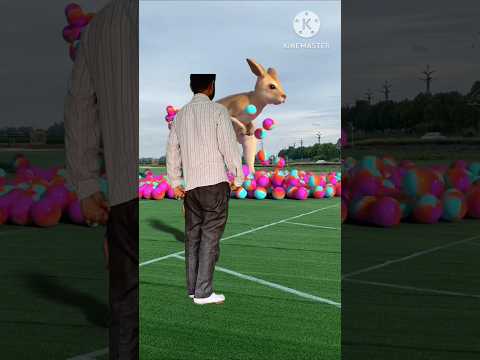 The mascot vibrato assistant placed onthe football field is popular, co-produced,creative new spe