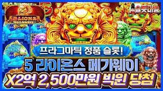 [슬롯사이트]🐯5 라이온스 메가웨이❌2억 2,500만원 빅윈!🦁프라그마틱 정품슬롯🎰