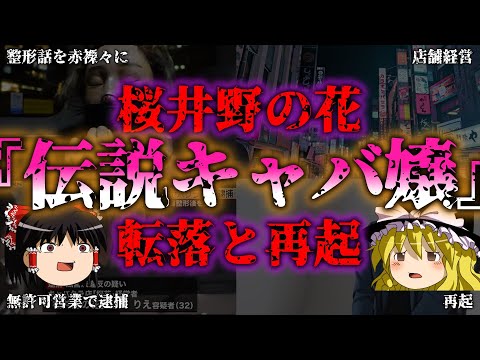 【ゆっくり解説】【光と闇】歌舞伎町『伝説キャバ嬢』の転落と逮捕劇『闇学』