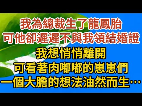 《孕期偷偷哭》第06集：我為總裁生了龍鳳胎，可他卻遲遲不與我領結婚證，我想悄悄離開，可看著肉嘟嘟的崽崽們，一個大膽的想法油然而生……#恋爱 #婚姻 #情感故事 #甜宠 #故事#小说#霸总