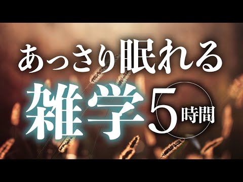 【睡眠導入】あっさり眠れる雑学5時間【合成音声】