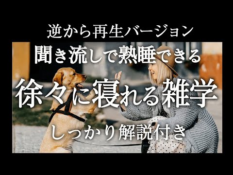 【逆から再生】徐々に寝れる雑学【睡眠導入】しっかり解説付き♪