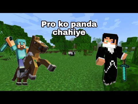 Panda Ko Kaise leke jaye #shorts #minecraftshorts #noobfunnyvideo #minecraft #youtubeshorts#ytshorts