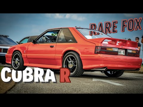 COBRA "R" 1993 Rare Foxbody Mustang How to tell if it's real