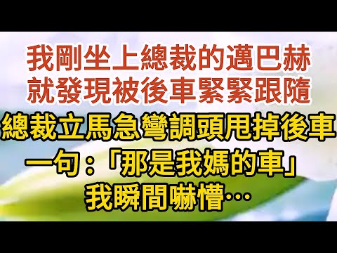 《不能說的秘密》第05集：我剛坐上總裁的邁巴赫，就發現被後車緊緊跟隨，總裁立馬急彎調頭甩掉後車，一句：「那是我媽的車」，我瞬間嚇懵……#戀愛#婚姻#情感 #愛情#甜寵#故事#小說#霸總